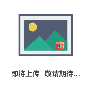 24V/48V/60V直流充電式電鏈鋸伐木鋸園藝鋸